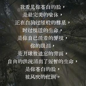 《彗星，和你的生命》