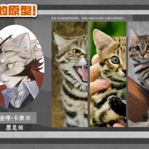 【月亮起司】5p