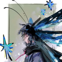 蝶